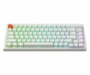 SMX Kishu Honey Switch Lumos white SMXG050 SMX Kishu Honey Switch Lumos white SMXG050 Silver Monkey X