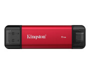 Kingston 1TB DualPortable Kingston