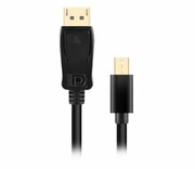 SILVER MONKEY Kabel Mini DisplayPort - DisplayPort 2m SM-MDPDP20 Kabel Mini DisplayPort - DisplayPort 2m SM-MDPDP20 SILVER MONKEY