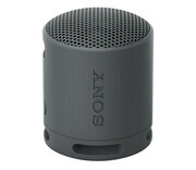 Sony SRS-XB100 Czarny Sony