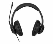 TARGUS USB Wired Stereo Headset AEH102GL USB Wired Stereo Headset AEH102GL TARGUS