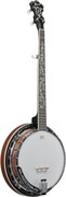 Banjo Ibanez B200 Ibanez
