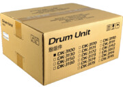 Bęben Kyocera DK-3100 do drukarek (Oryginalny) [100k]