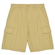 Szorty i Bermudy Dziecko Vans SERVICE CARGO SHORT Manufacturer