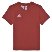 T-shirty z krótkim rękawem Dziecko adidas ENT22 TEE Y Manufacturer