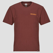 T-shirty z krótkim rękawem Dickies BURNS TEE SS ANDORRA Manufacturer