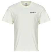 T-shirty z krótkim rękawem Dickies LANDASCAPE SS TEE Manufacturer