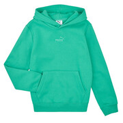 Bluzy z kapturem Puma ESS Small No.1 Logo Centered Hoodie FL Manufacturer