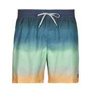 Kostiumy kąpielowe Billabong ALL DAY FADE LB Manufacturer