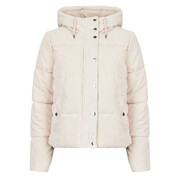 Kurtki pikowane JDY JDYVITA CORD SHORT HOOD PUFFER Manufacturer