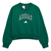 Bluzy adidas Seasonals Collegiate Typography V-neck Junior Girls Sweatshirt Manufacturer