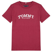 T-shirty z krótkim rękawem Dziecko Tommy Hilfiger MONOTYPE PRINT GRAPHIC T-SHIRT Manufacturer