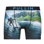 Bokserki Pullin FASHION 2 Manufacturer