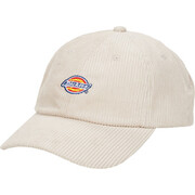 Czapki z daszkiem Dickies HARDWICK CORDUROY CAP STONE Manufacturer