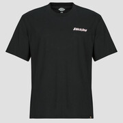 T-shirty z krótkim rękawem Dickies STATESVILLE TEE SS BLACK Manufacturer