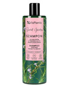 Vis Plantis Herbal Vital Care szampon do włosów z tendencją do przetłuszczania 400 ml Elfa Pharm 1000