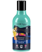 Gift Of Nature regenerujący szampon do włosów suchych 300 ml 1000