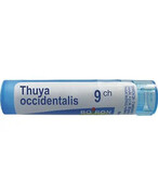 Boiron, Thuya Occidentalis 9 CH, granulki, 4 g. 0