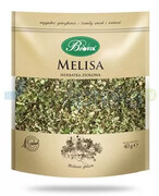 BiFix Monozioła Melisa herbatka ziołowa 40 g 1000
