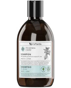 Pharma Care szampon do włosów przetłuszczających się mięta + cynk 500 ml 1000