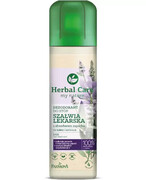 Farmona Herbal Care dezodorant do stóp szałwia lekarska 150 ml 1000