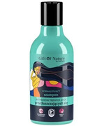 Gift Of Nature normalizujący szampon do włosów przetłuszczających się 300 ml 1000