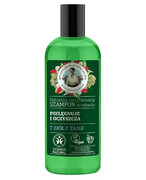 Babuszka Agafia Naturalny certyfikowany szampon do włosów pielęgnuje i oczyszcza 260 ml 1000