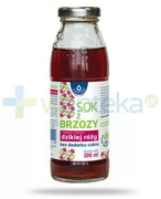 Oleofarm sok z brzozy z naparem z owoców dzikiej róży bez dodatku cukru, płyn 300 ml 1000