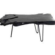 Stolik kawowy Aspen Black 100x40 cm