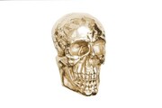 Dekoracja ścienna Skull 40cm złota Invicta