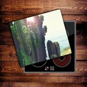 Szkło na płytę indukcyjną - Kaktus 01