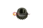 C6246B-101027 - Koło zębate znajdujące się na wałku wejściowy napędu wrzeciennika