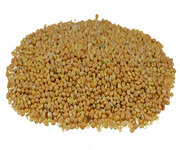 Proso złote 1 kg