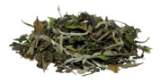 Herbata Biała China Pai Mu Tan (Bai Mu Dan) 0.1 kg