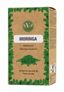 VANAN Moringa Suplement diety wspomagający układ ruchu i regenerację Kapsułki 60 szt.