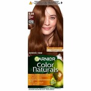 GARNIER Color Naturals Farba nr 5.34 - Złocisty Kasztanowy Brąz 1op.