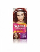 DELIA COSMETICS CAMELEO Szampon koloryzujący nr 66.56 Dzika Śliwka 40ml