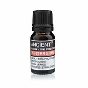 Olejek Eteryczny Golteriowy Wintergreen, Ancient Wisdom, 10ml