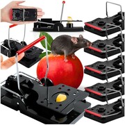 Komplet 5x pułapka łapka na mysz szczury gryzonie myszołapka silna sprężyna