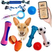 Zestaw zabawek zwierzęcych 10 sztuk