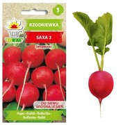 Rzodkiewka Saxa 3 10g nasiona