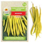 Fasola szparagowa karłowa MAXIDOR 50g nasiona