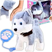 Interaktywny piesek Husky na smyczy