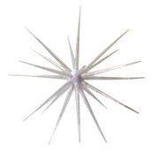 Eksplodująca gwiazda 80 LED lampki choinkowe 62cm