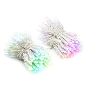 String Twinkly Pro 250 RGB+W PLC Capsule Pixels, dual line, IP65, 25 m