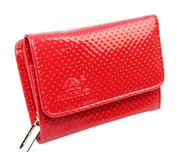 Portfel Damski ANDRUS (PL) 12 cm Suwak Skóra Włoska RIFD 12,5 x 9 x 3 [cm]