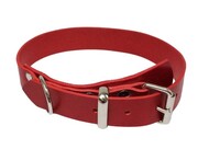 Solidna Obroża Dla Psa Czerwona Skóra Naturalna 25 mm 28/38 [cm] WIREX (PL)