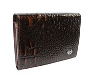 Wygodny Portfel Damski Z Klamrą NICOLE Skóra Naturalna Lakierowana 46008 BRĄZOWY 12 x 9 x 3 [cm]