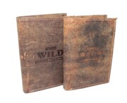 Portfel Męski Skórzany WILD Skóra Licowa Duży Pionowy Bez Zapięcia Zamszowy BRĄZOWY ''De Luxe'' 8932 13 x 10 x 3 [cm]