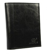 Portfel Męski ANDRUS (PL) Skóra Licowa Pionowy Bez Zapięcia Jedno Skrzydełko Kieszeń Na Bilon RIFD 13 x 10 x 2,5 [cm]